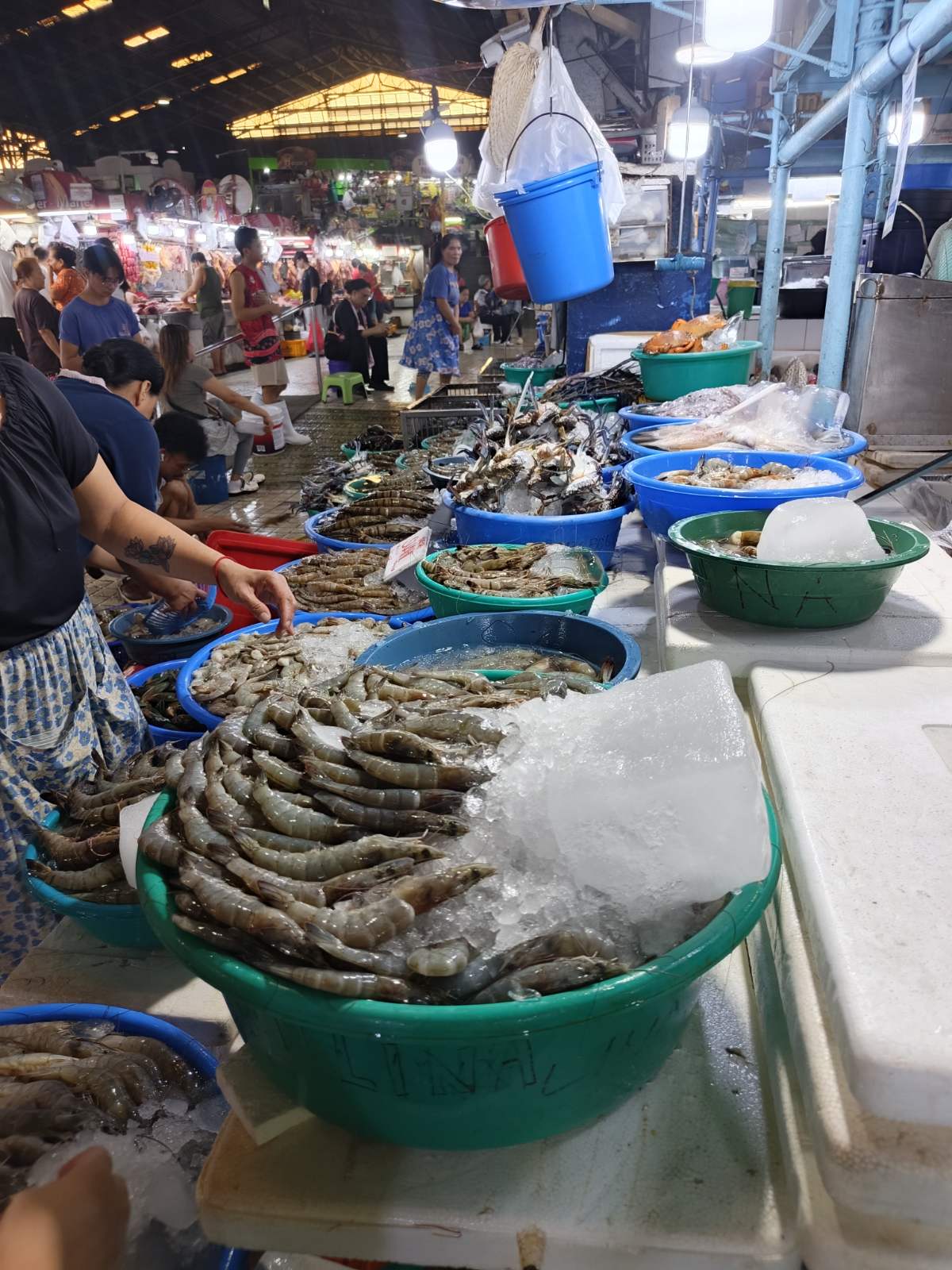 Fishes And Seafoods