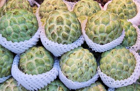 Atis
