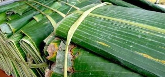 Banana Leaves