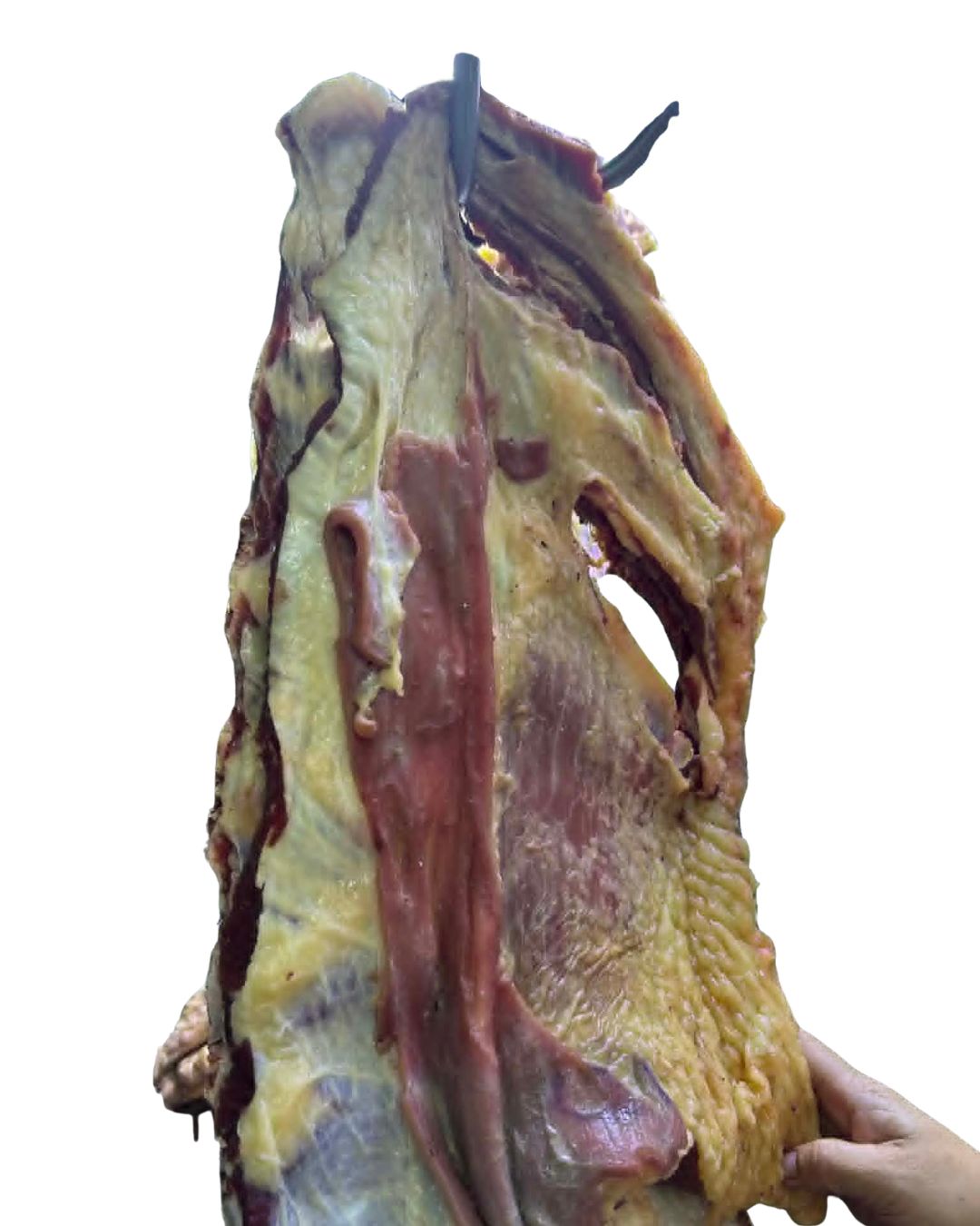 Beef Ribs