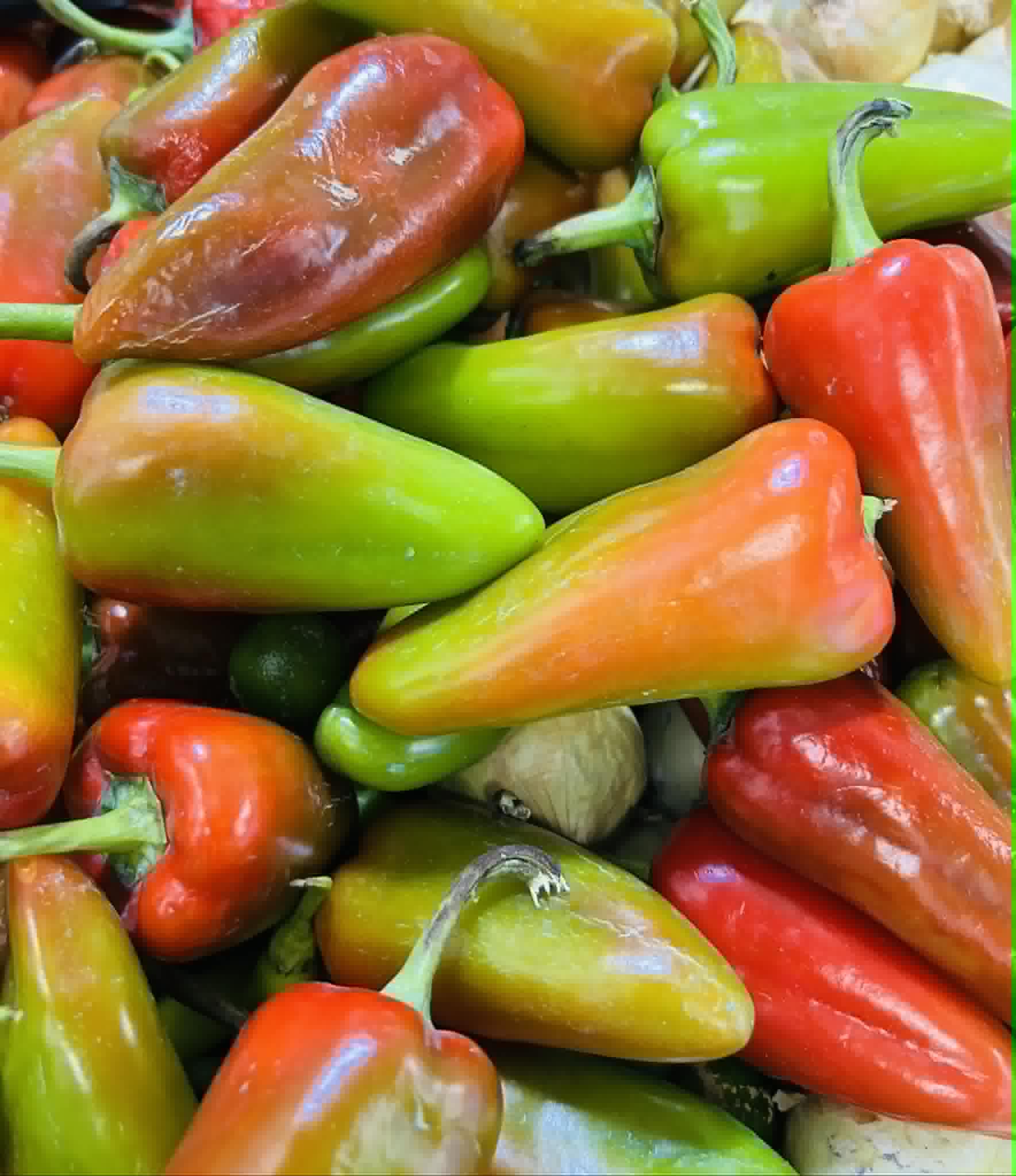 Bell Pepper Red