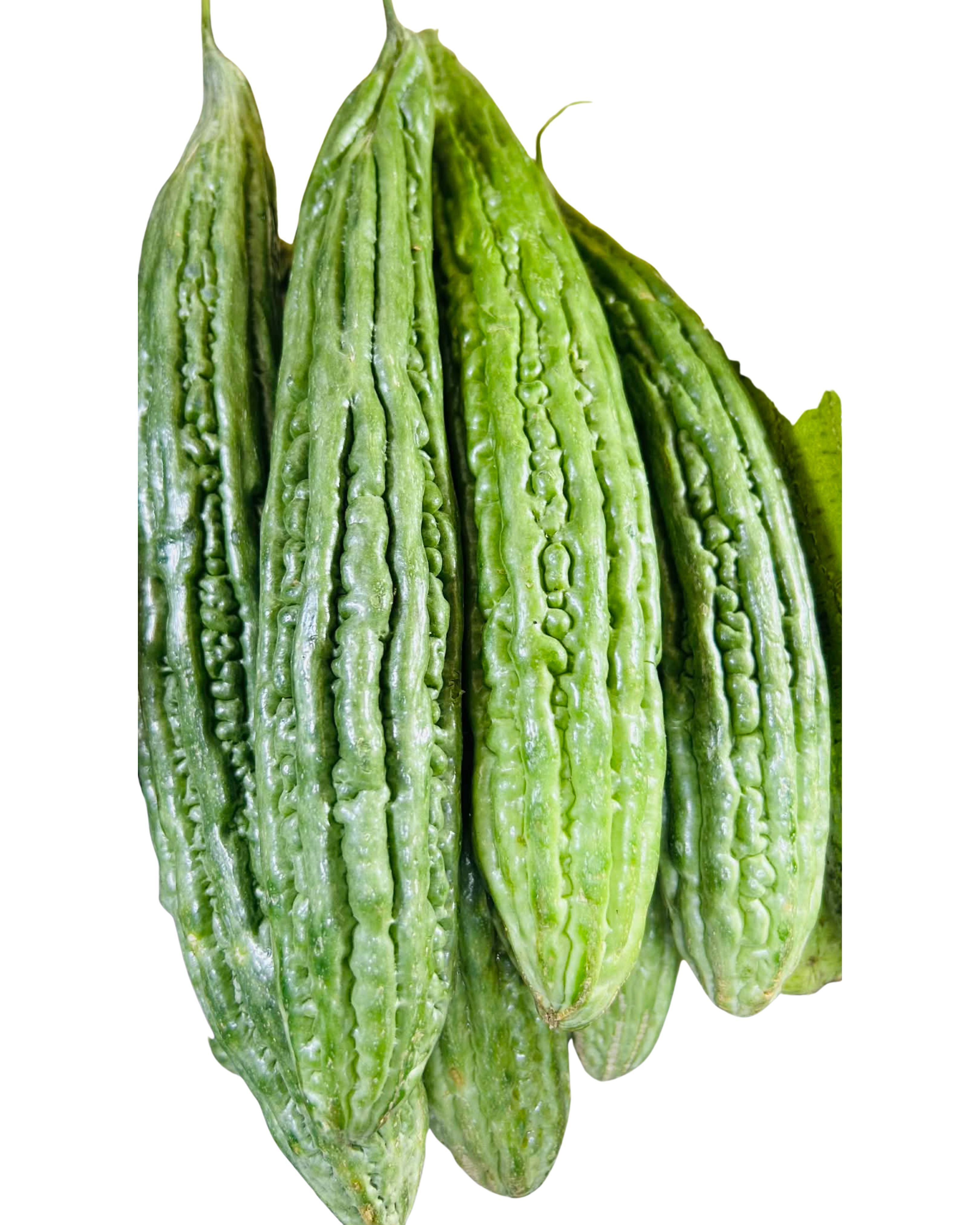Bitter Melon