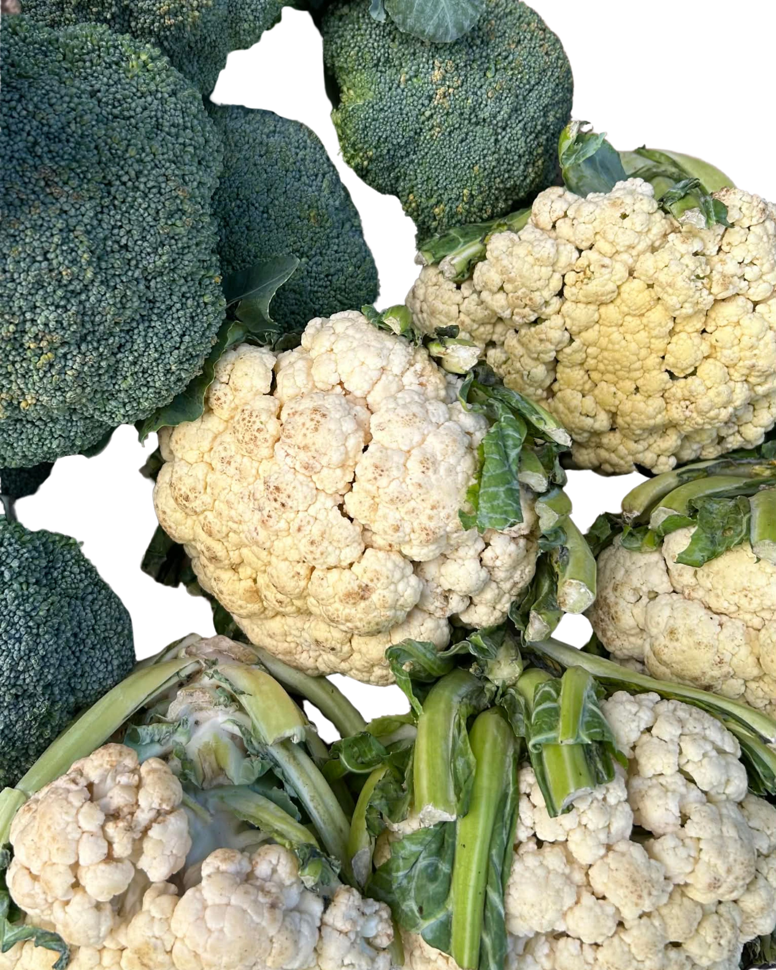 Broccoli