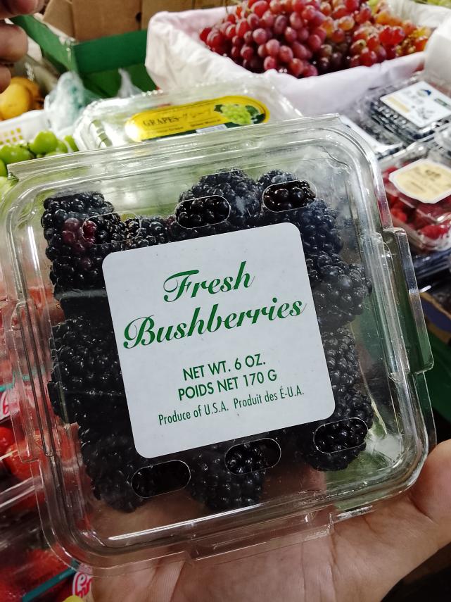 Bushberries
