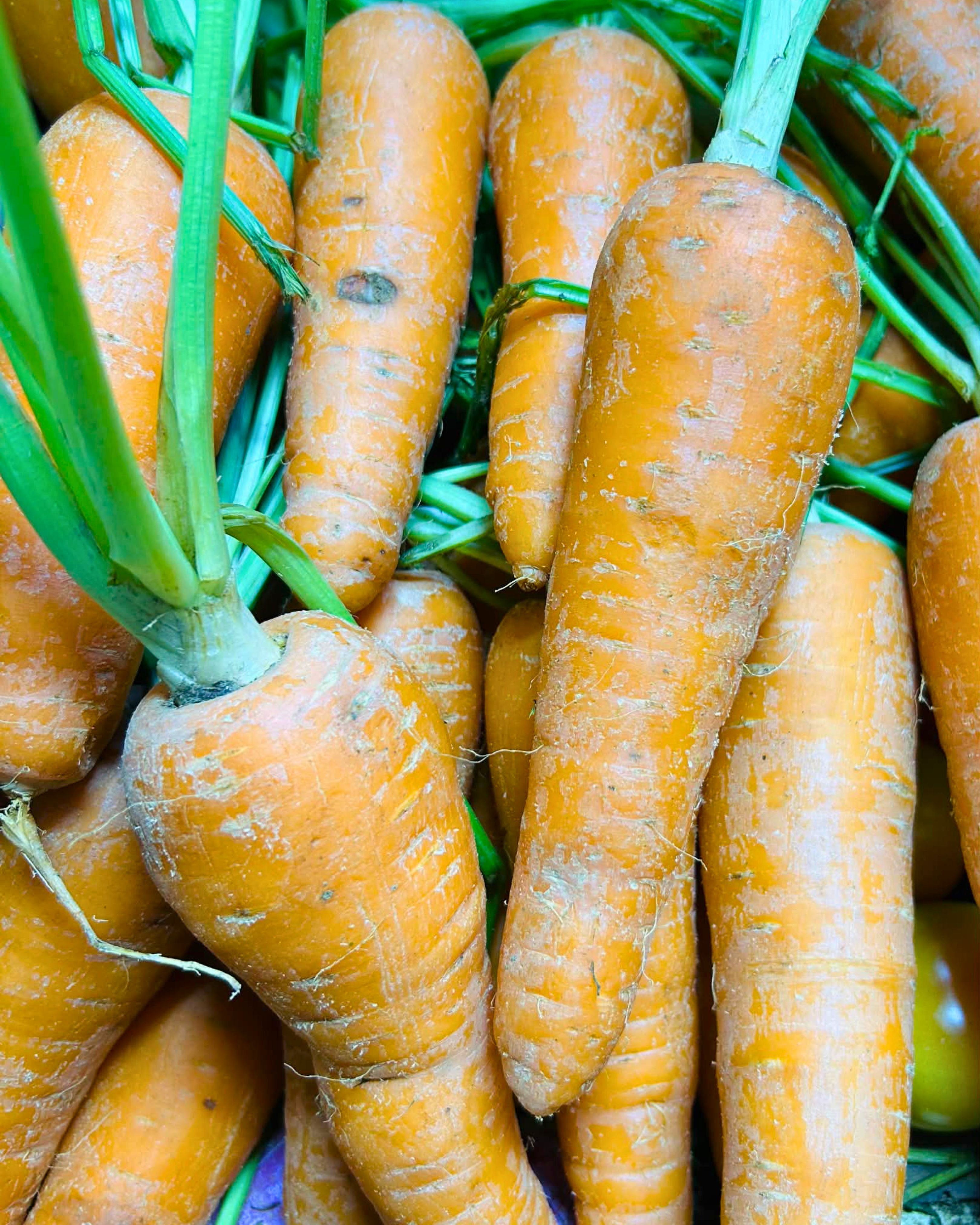 Carrots