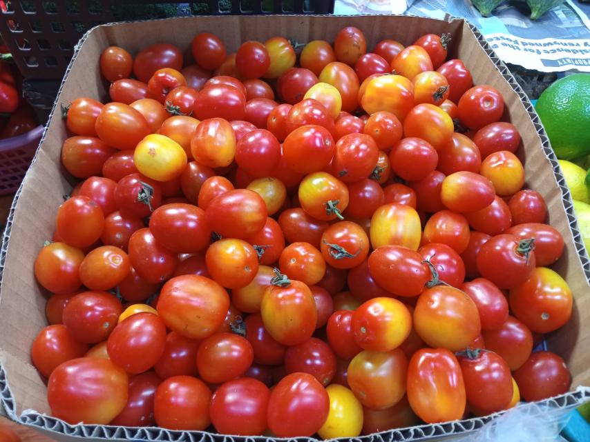 Cherry Tomato