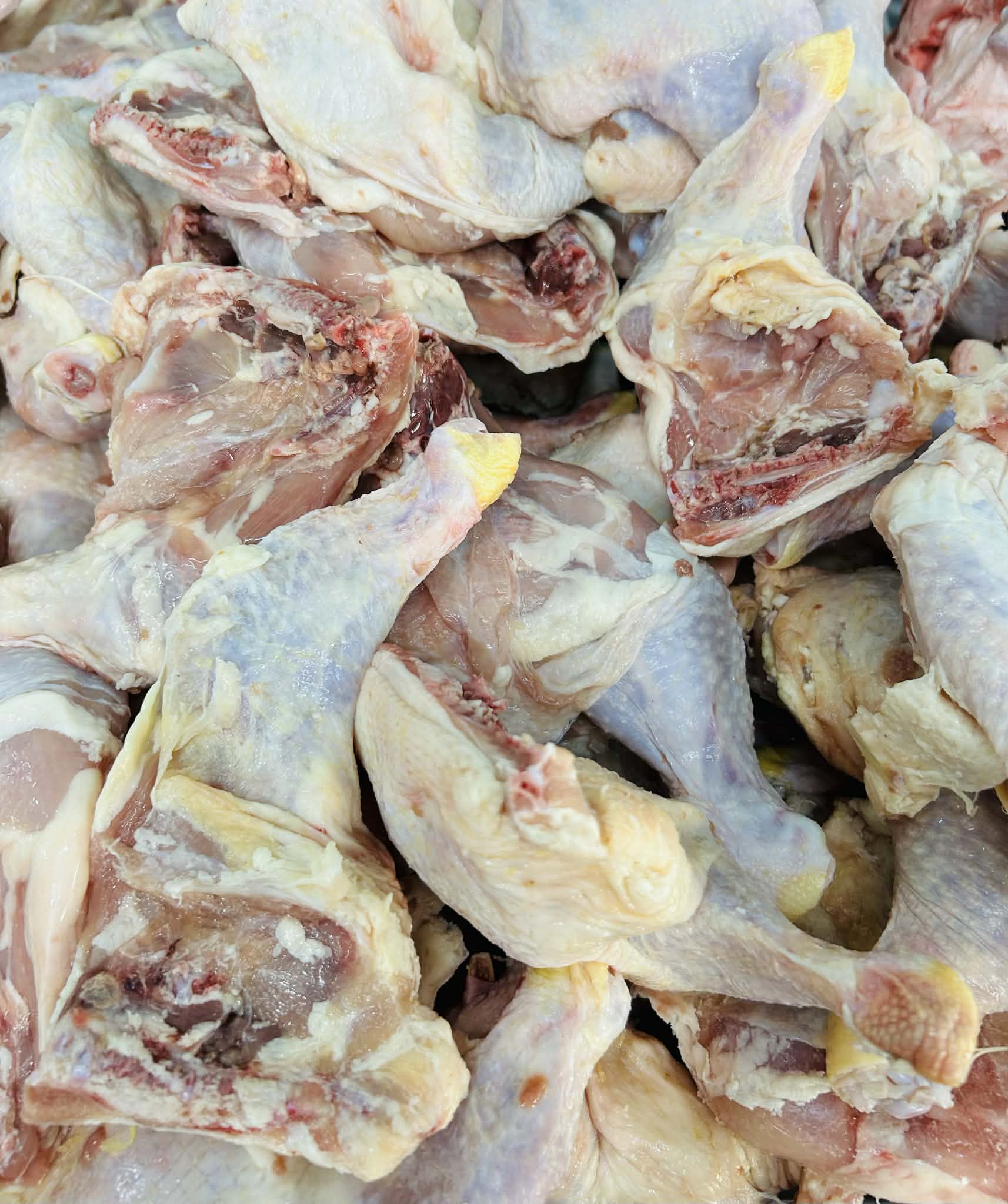 Chicken Leg Part