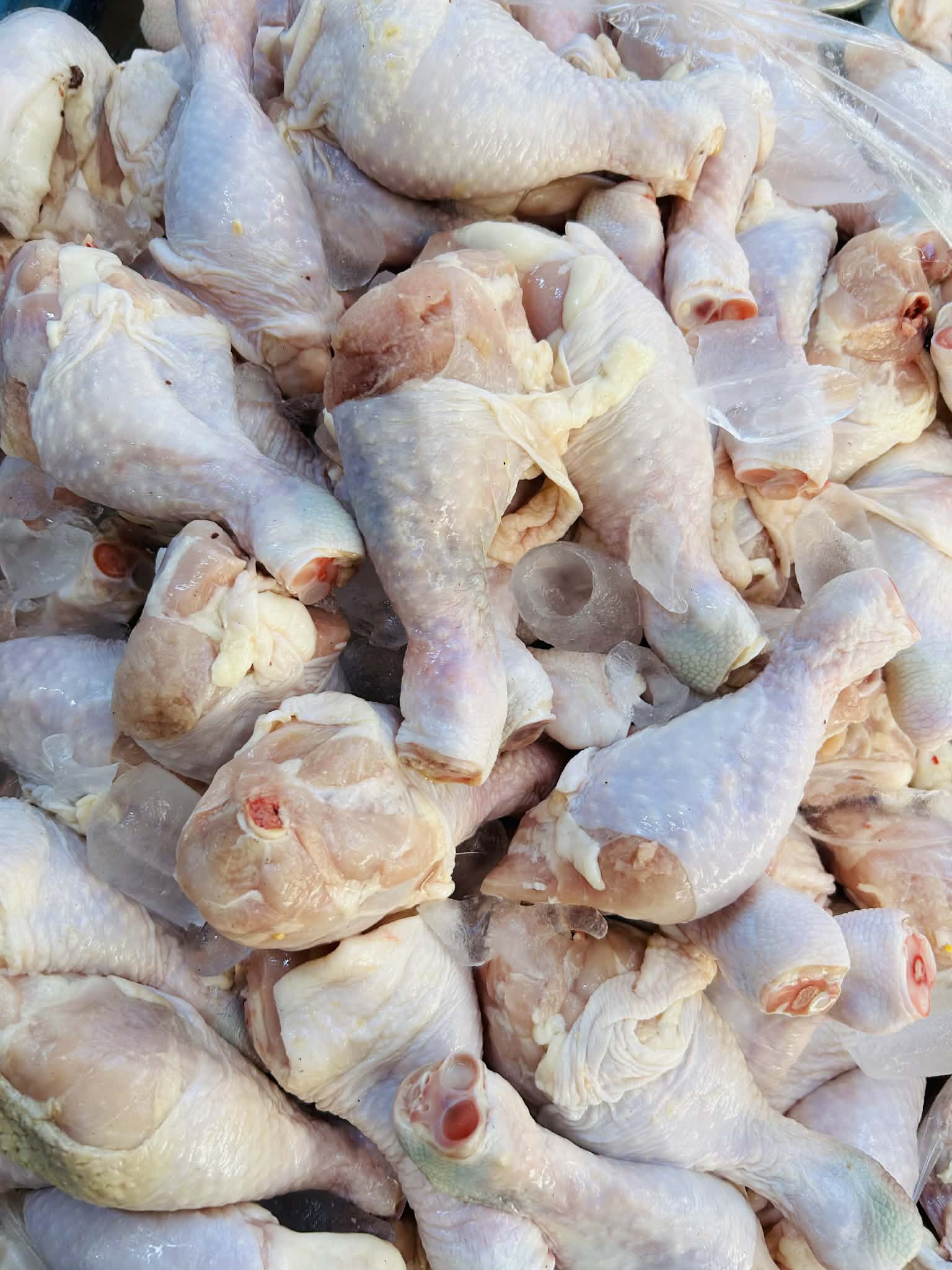 Chicken Leg Part A