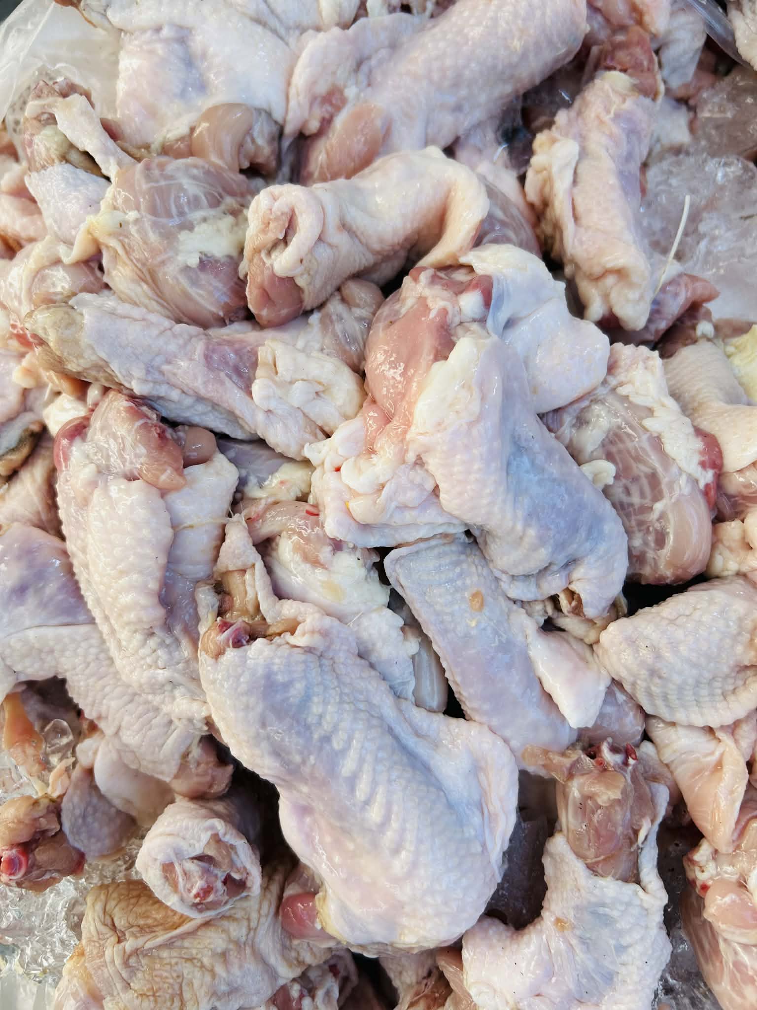 Chicken Neck Part