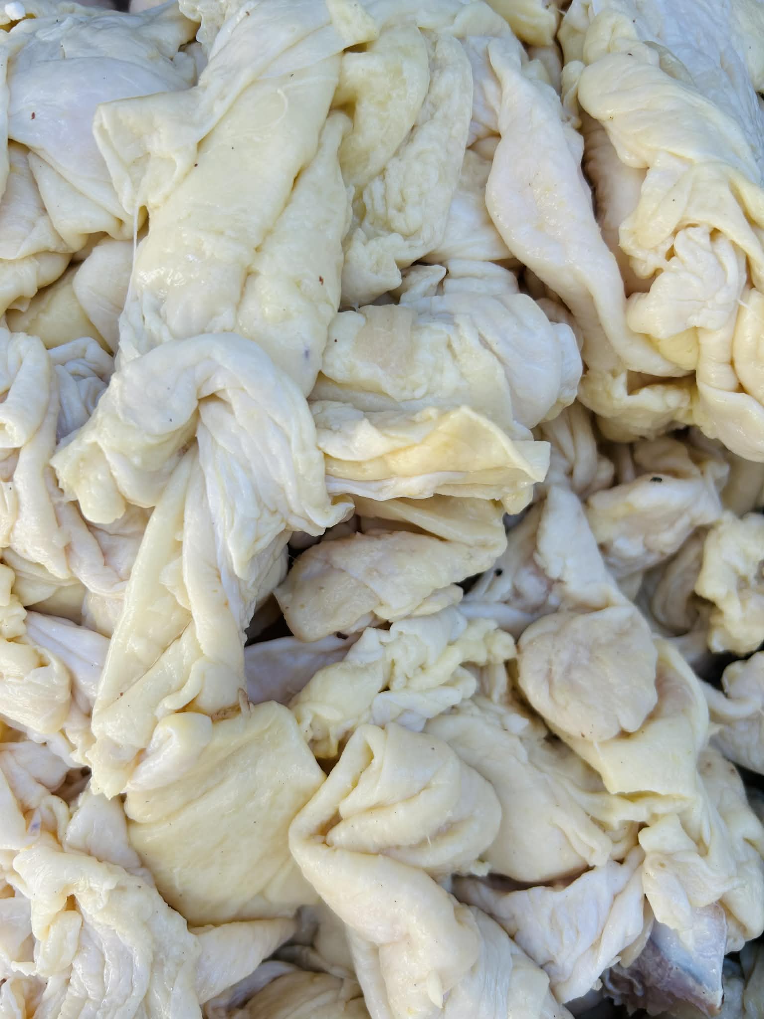 Chicken Skin