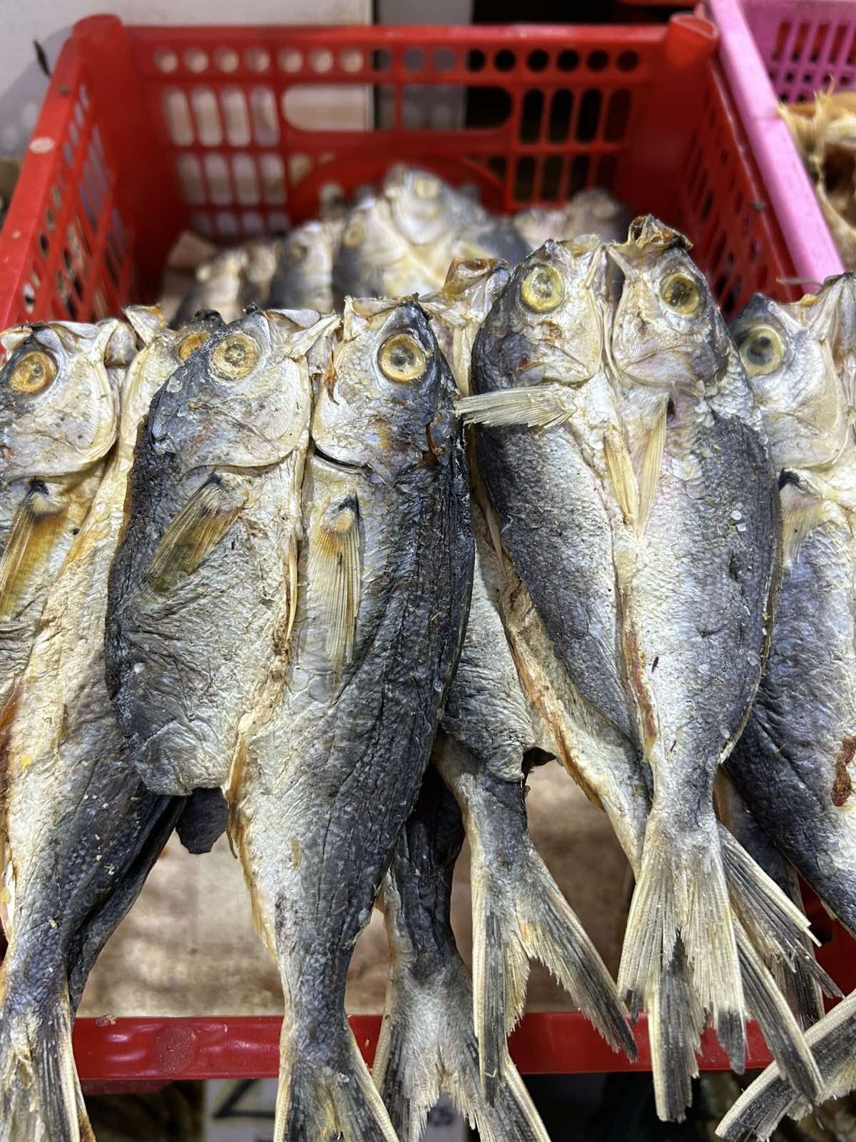 Daing Dalagang Bukid 1/4