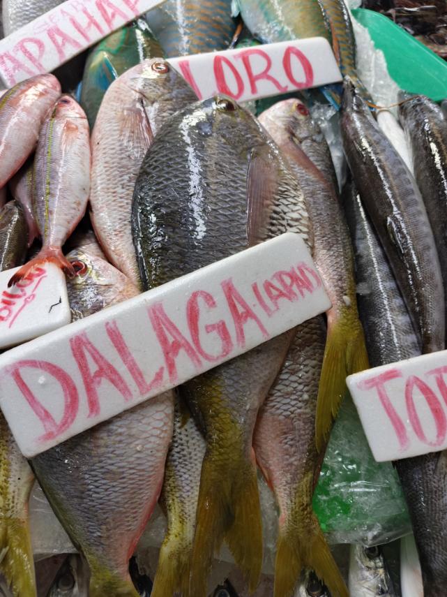 Dalaga bukid lapad