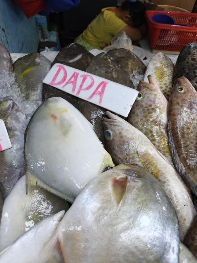 Dapa
