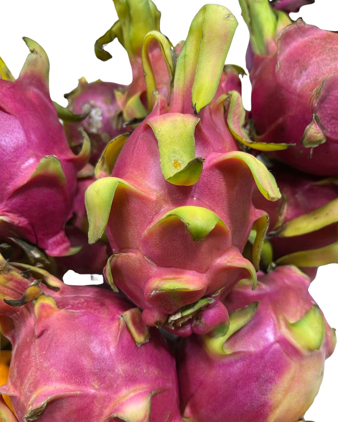 Dragon Fruit White