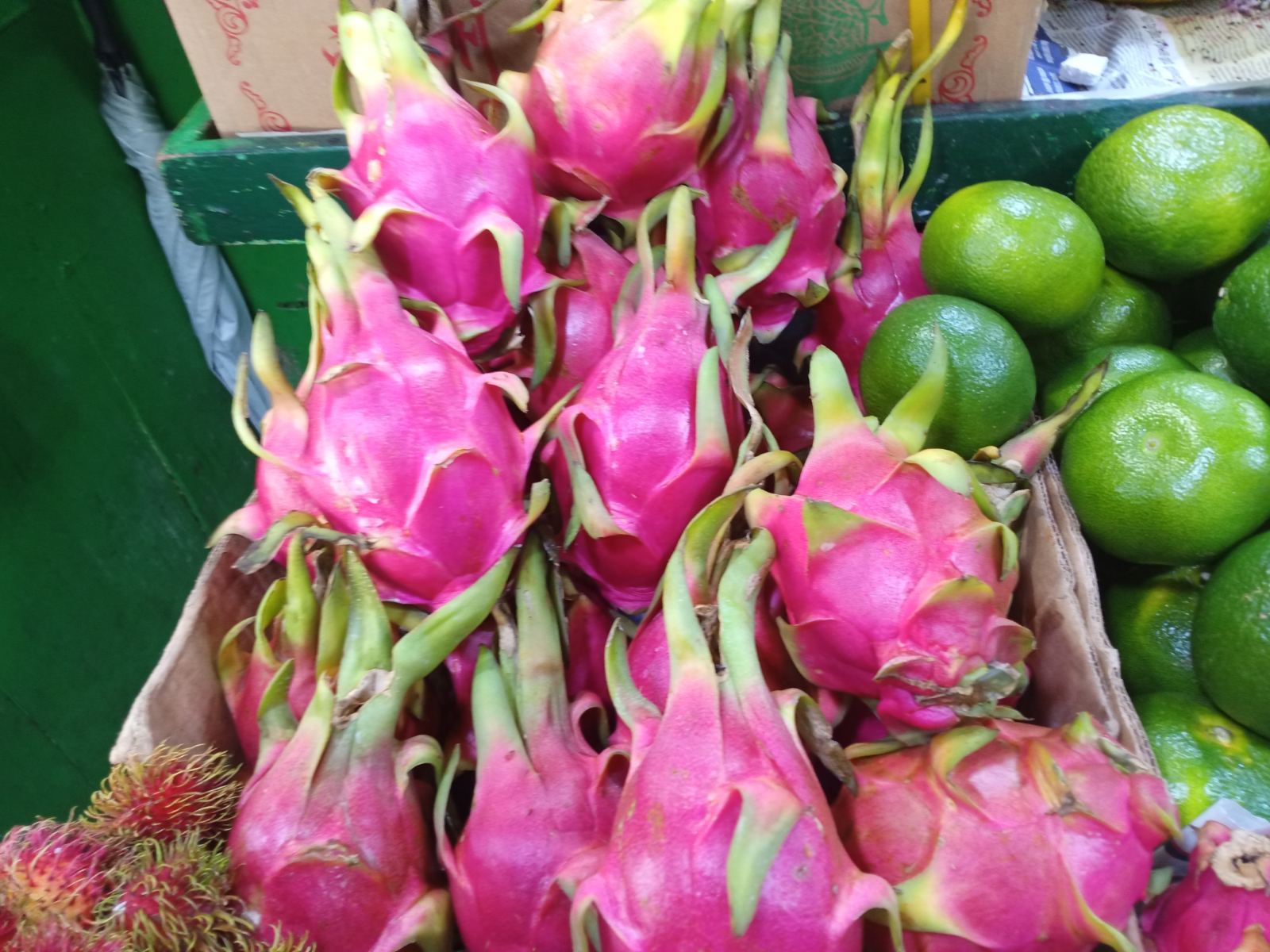 Dragonfruit (white)