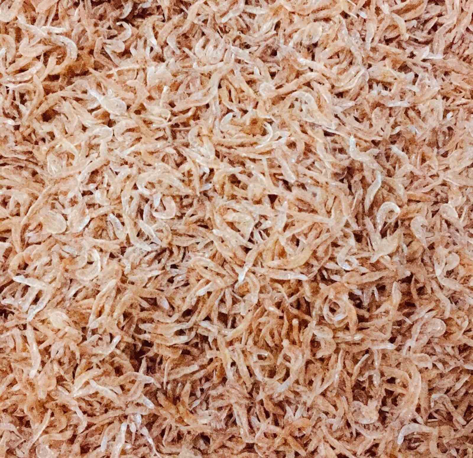 Dried Alamang