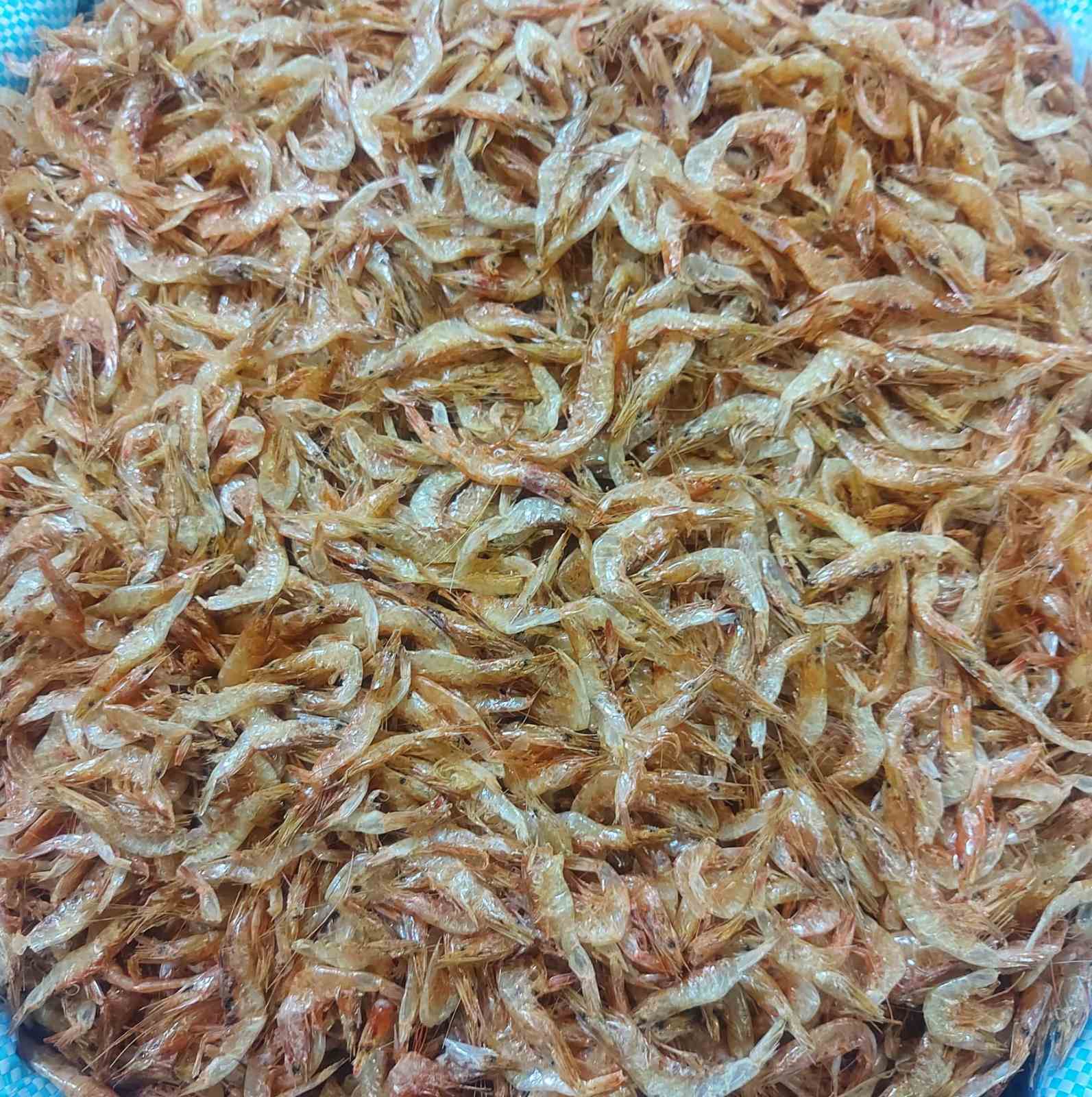 Dried Hipon