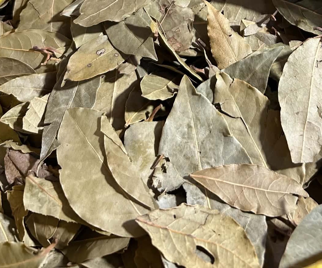 Dried Laurel leaves