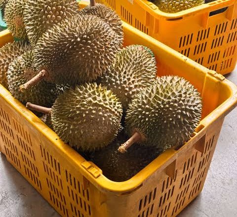 Durian