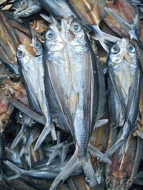 Flying Fish