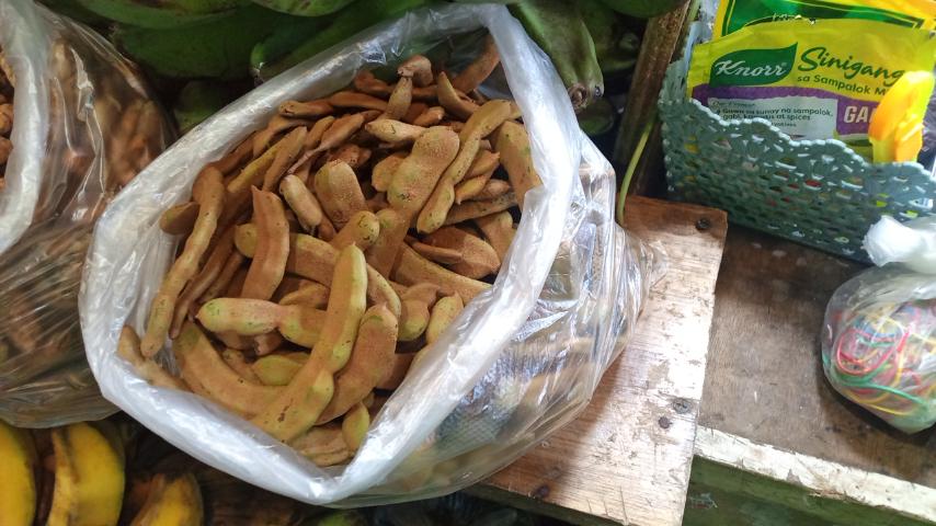Fresh Sampaloc