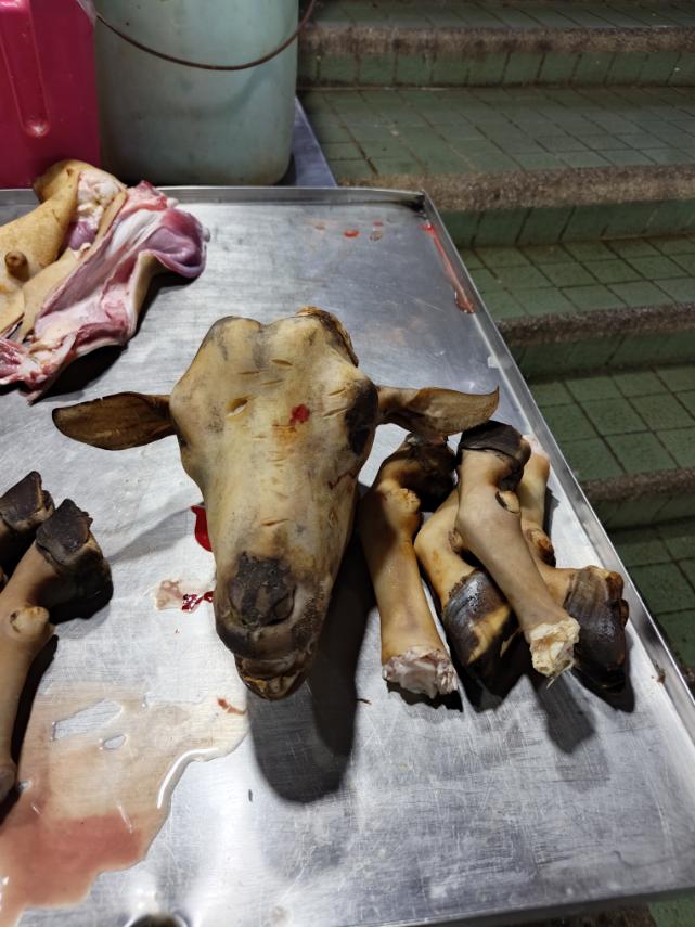 Goat head