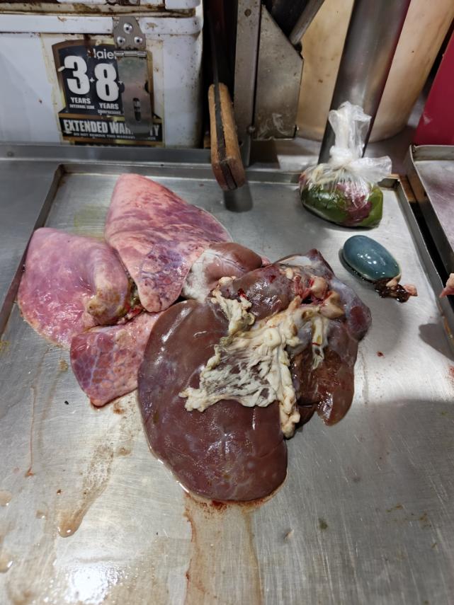 Goat papaitan