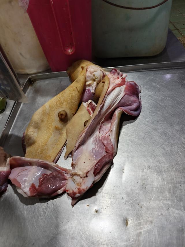 Goat skin/kilawin