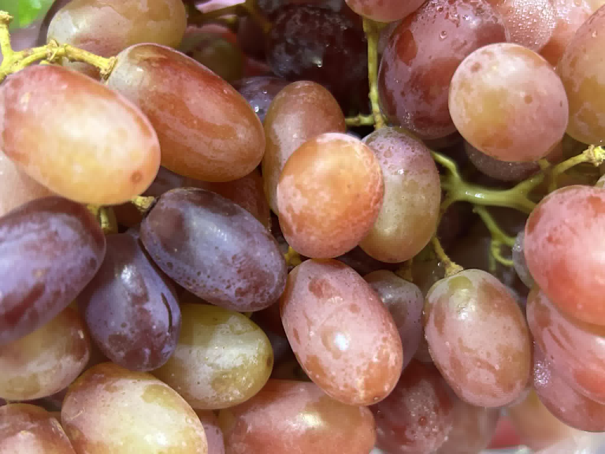 Grapes Red