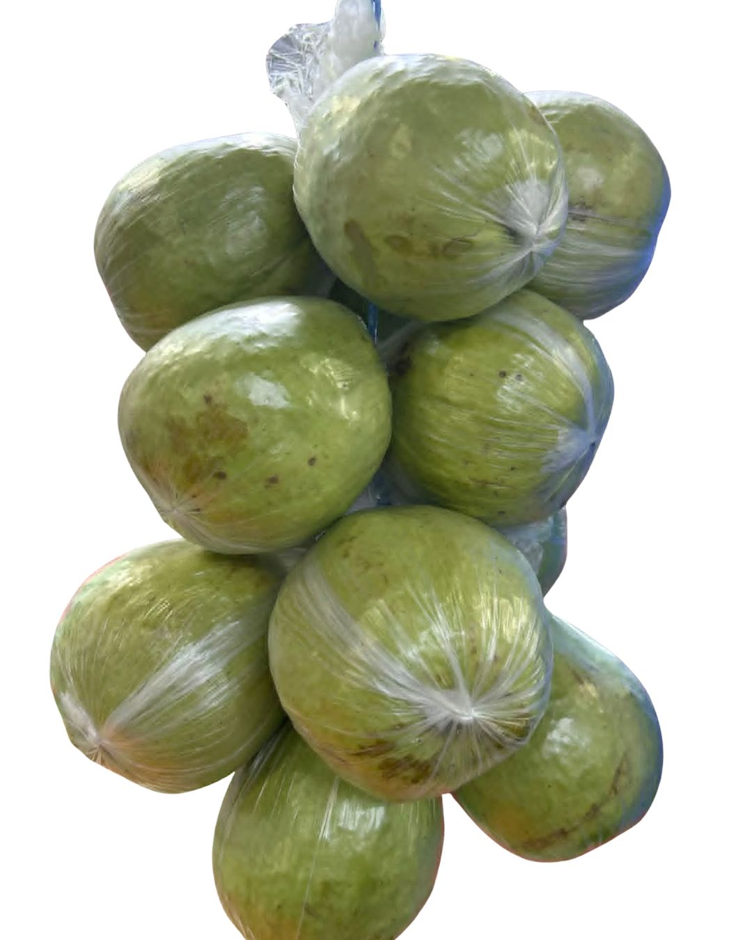 Guava