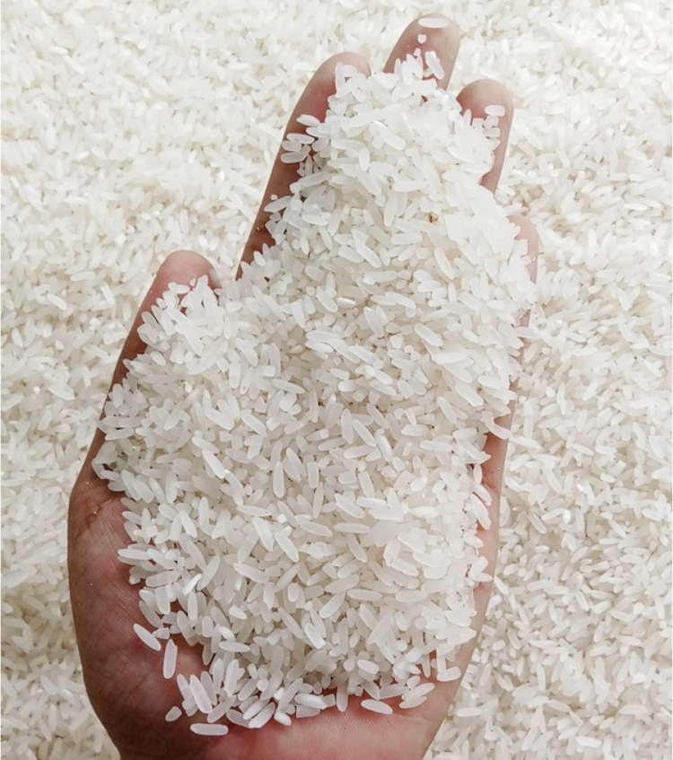 Jasmine Rice