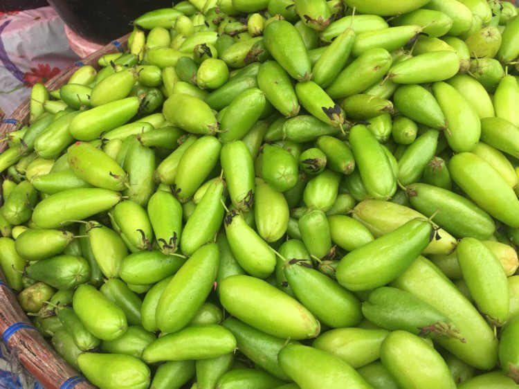 Kamias