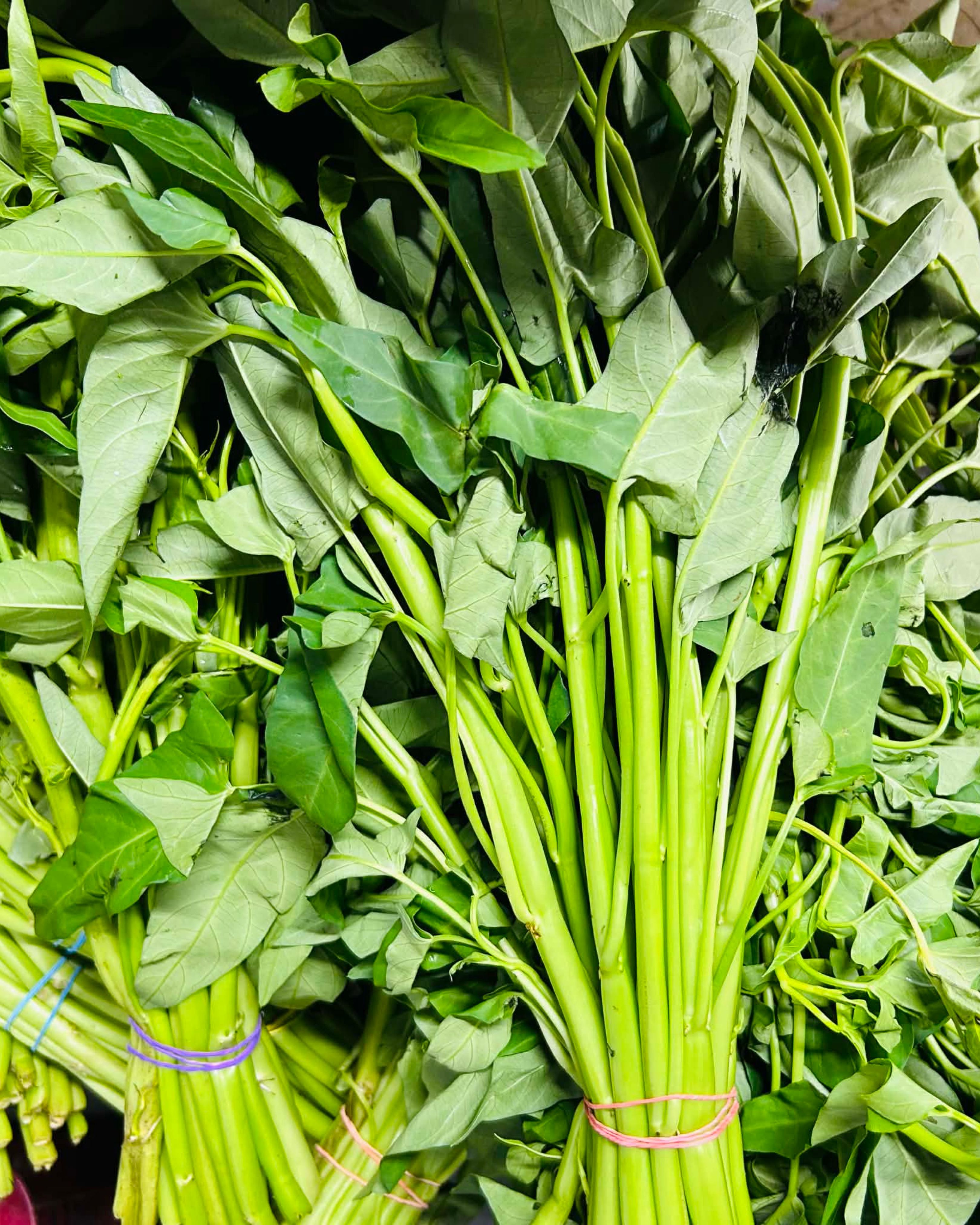 Kangkong