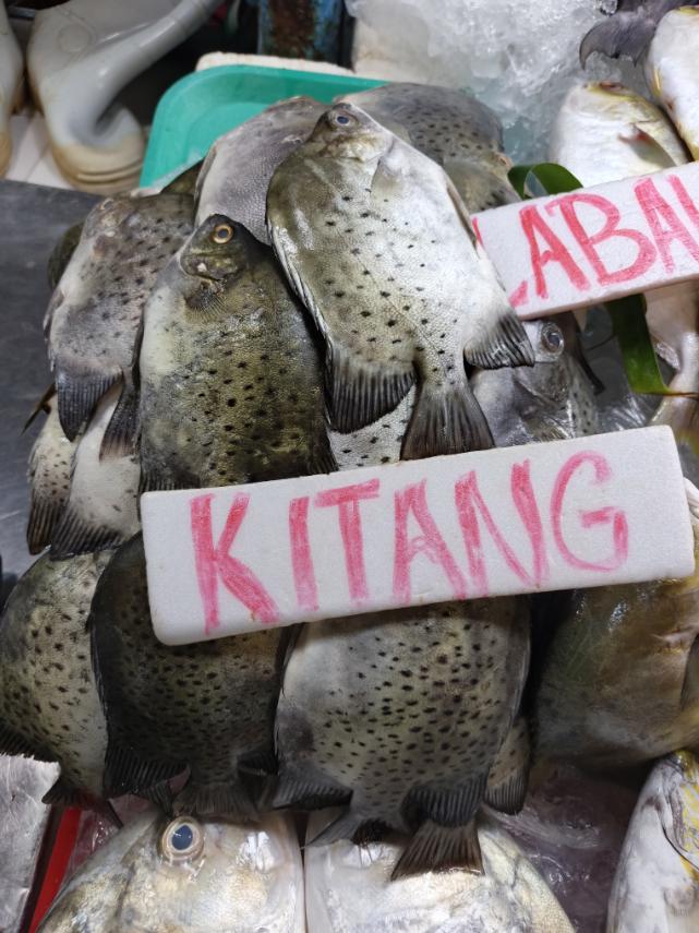 Kitang