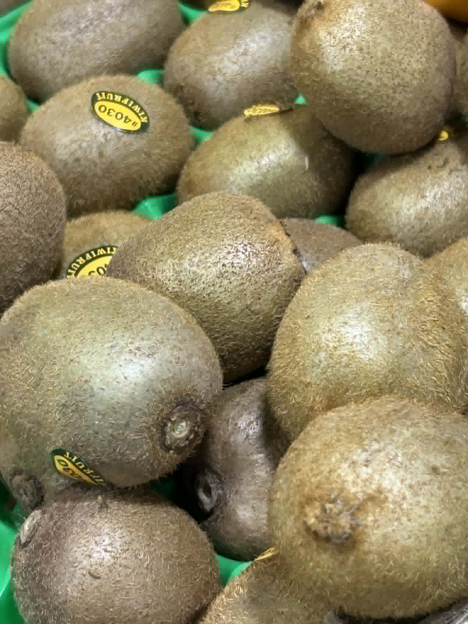 Kiwi