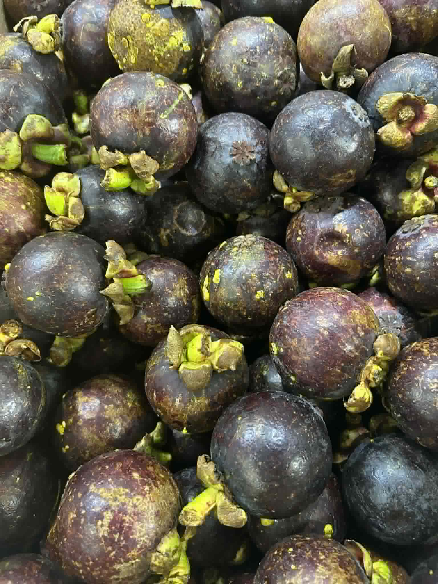 Mangosteen