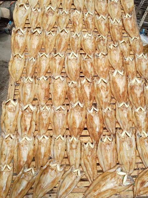 Maya Maya Dried