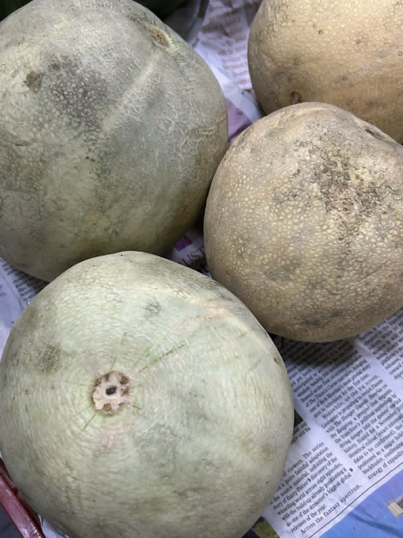 Melon