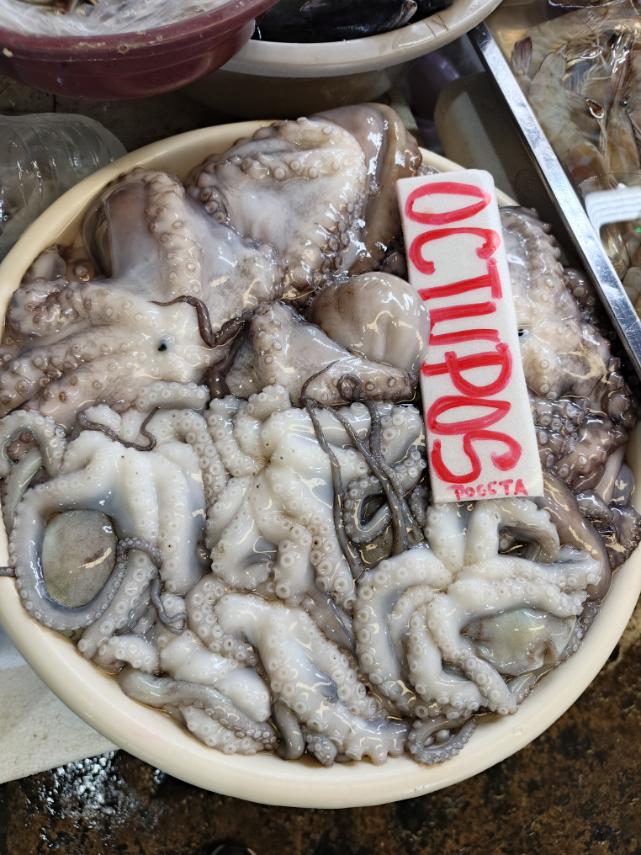 Octopus
