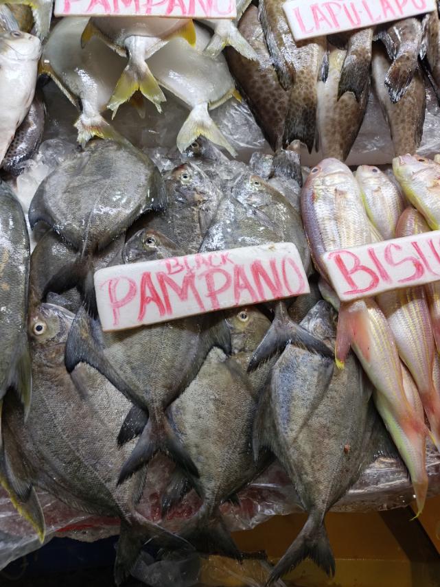 Pampano black