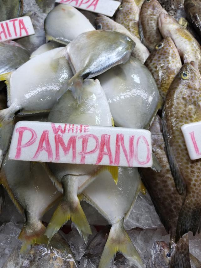Pampano White
