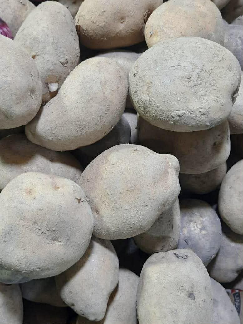 Potatoes