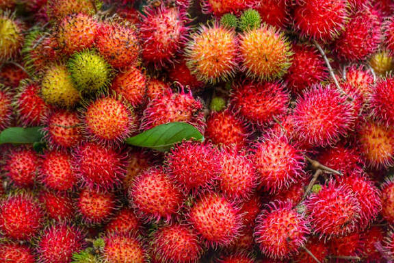 Rambutan