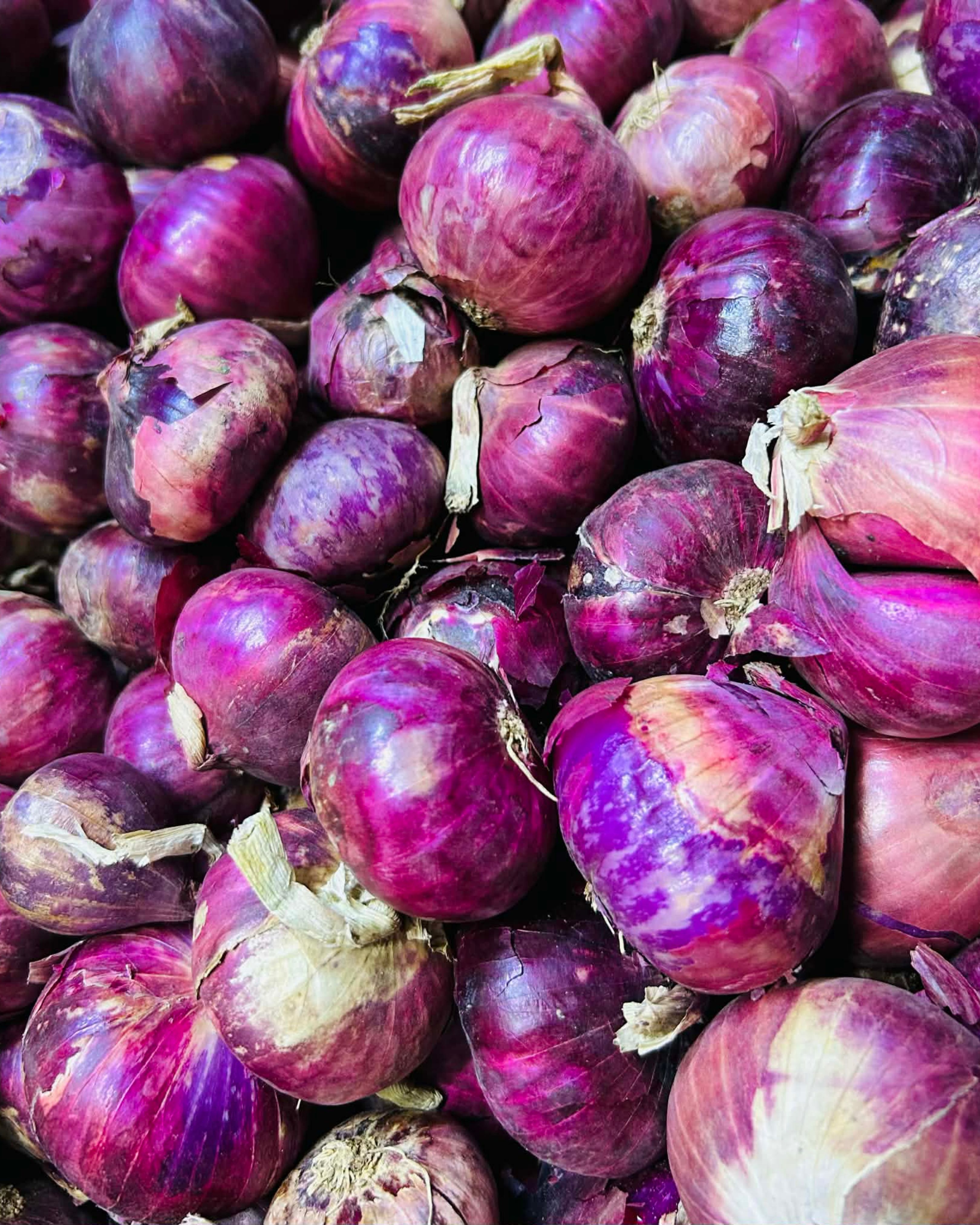 Red Onion