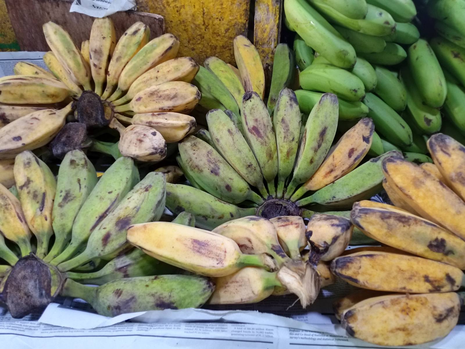 Saba saging