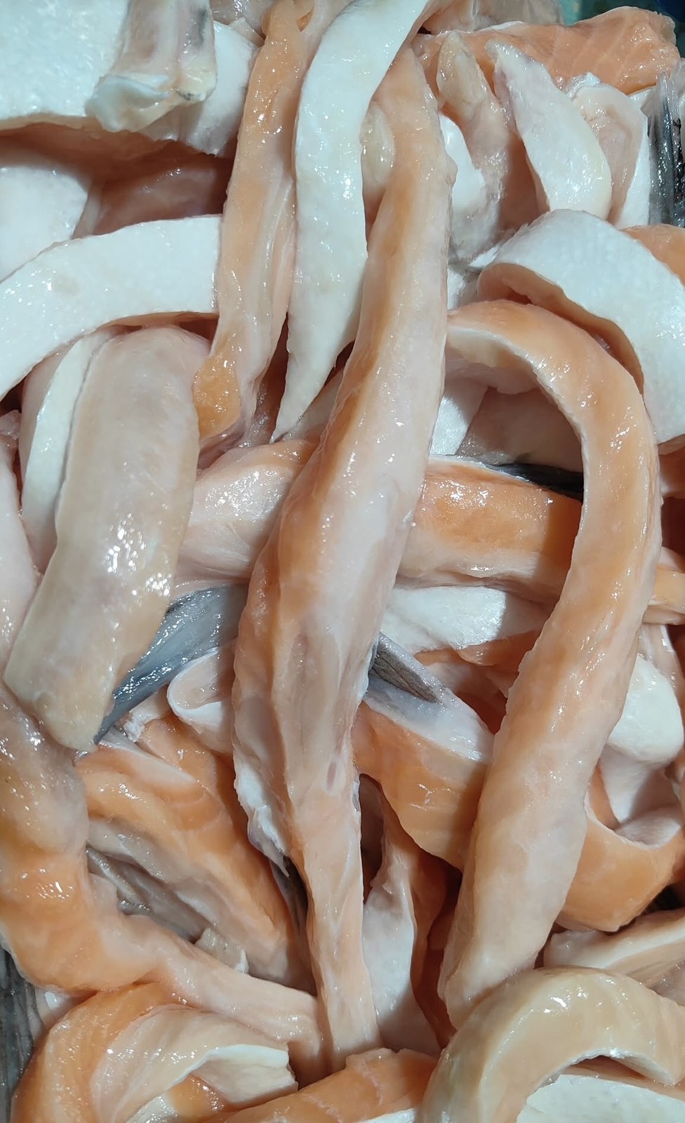 Salmon Belly