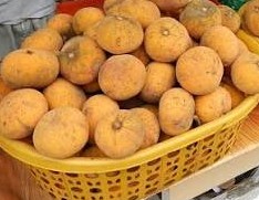 Santol