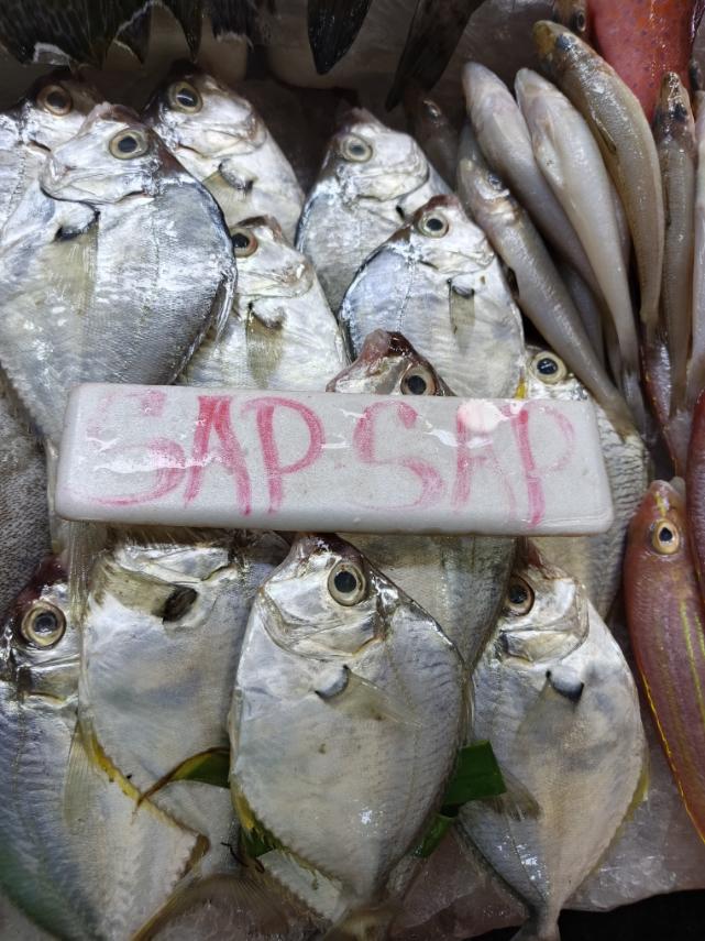 Sapsap