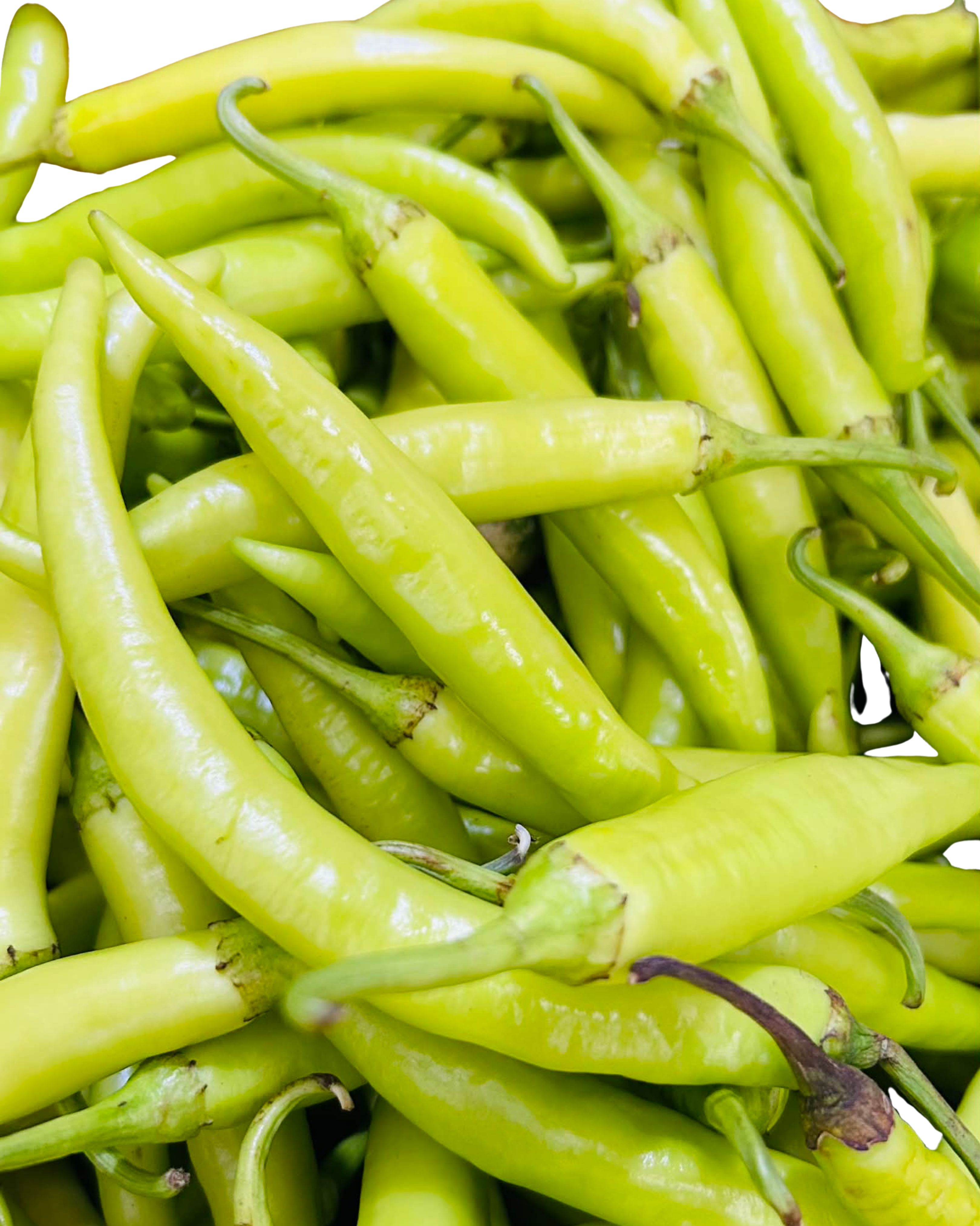 Sili Green
