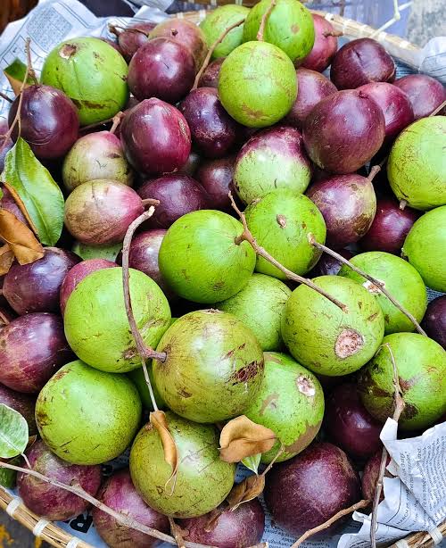 Star Apple